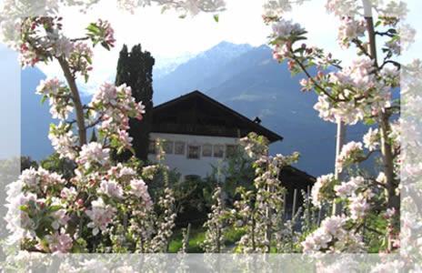 Lothof Apartamento Schenna Exterior foto